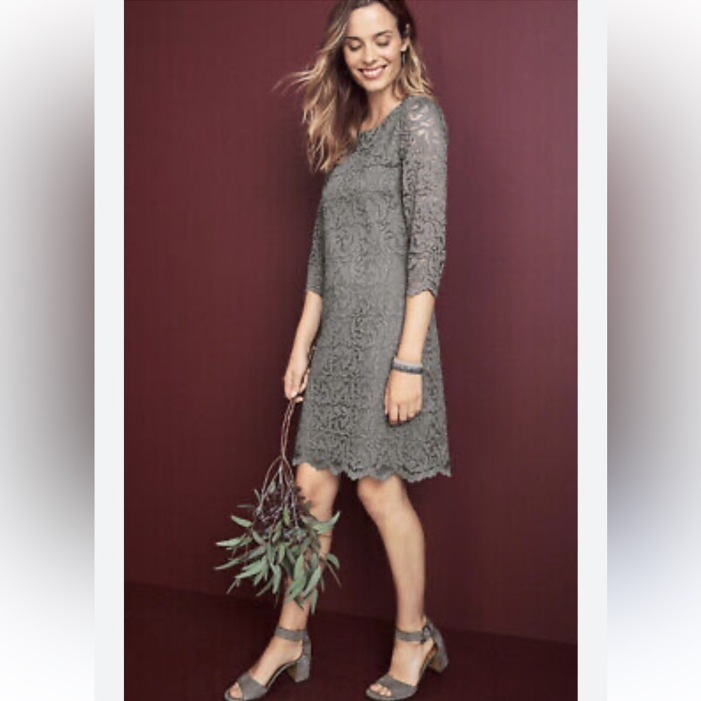 Garnet Hill Sz 00 taupe 3/4 sleeves scoop neck lace shift dress
